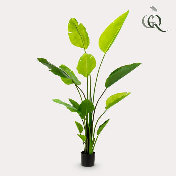 Strelitzia Nicolai - Paradijsvogelbloem - Kunstplant - ↨150 cm