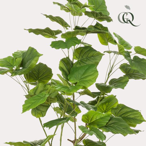 Ficus umbellate - Afrikaanse vijg - Kunstplant - ↨125cm