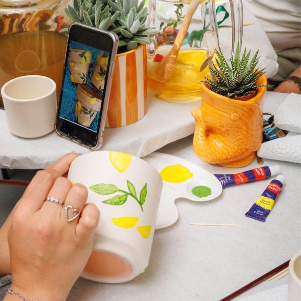 Bloempotten met Succulenten (12 stuks) en Verfpakket - Voor 4 personen - Creatieve Workshop Set