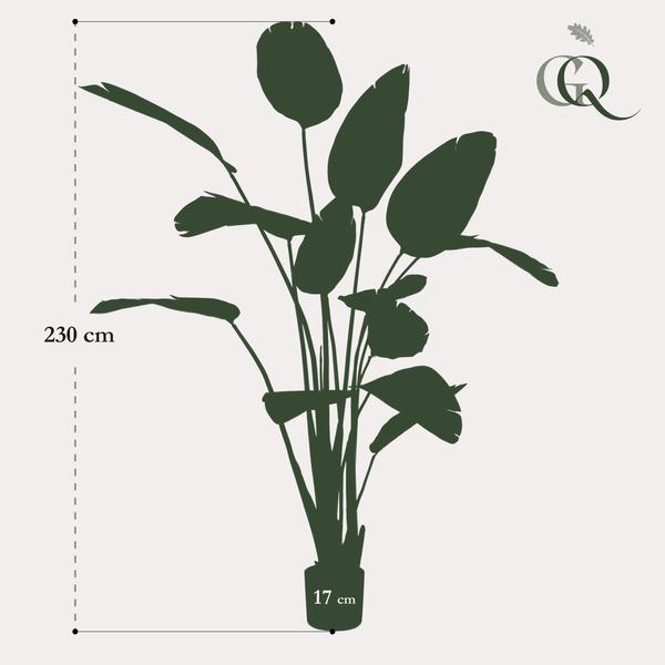 Strelitzia Nicolai - Paradijsvogelbloem - Kunstplant - ↨230cm