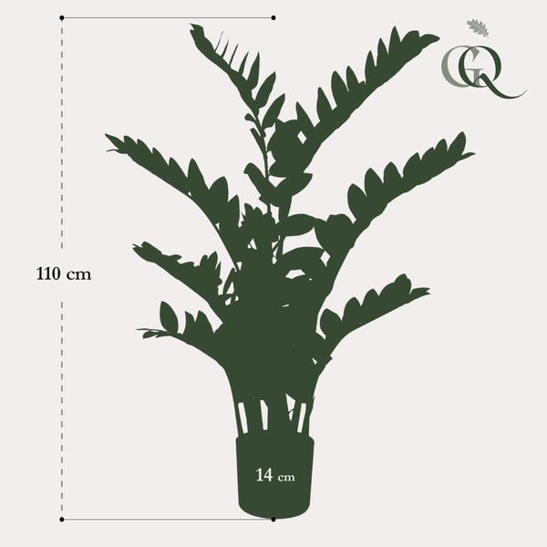 Zamioculcas - Kamerpalm - Kunstplant - ↨110cm