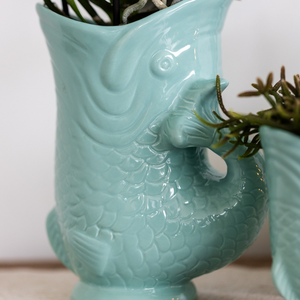 Planten set Fish Turquoise - Witte Phalaenopsis orchidee Amabilis Ø9cm en groene plant Succulent Crassula Hobbit Ø6cm