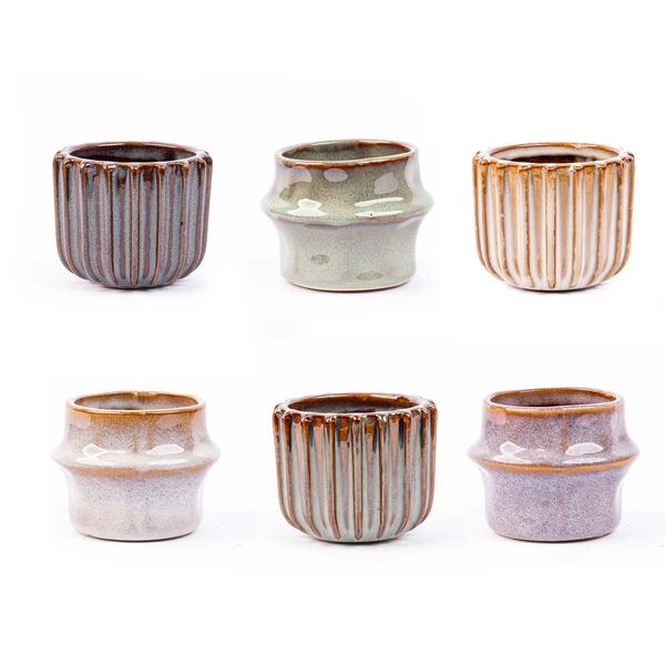 Mini plantenset 6 - Inclusief pot set Barcelona