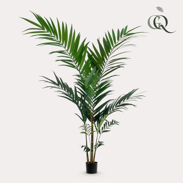Kentia - Kentiapalm - Kunstplant - ↨150cm