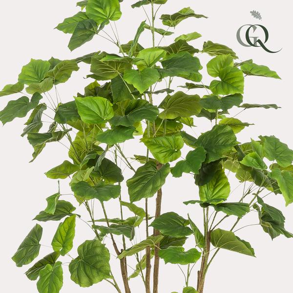 Ficus umbellate - Afrikaanse vijg - Kunstplant - ↨180cm