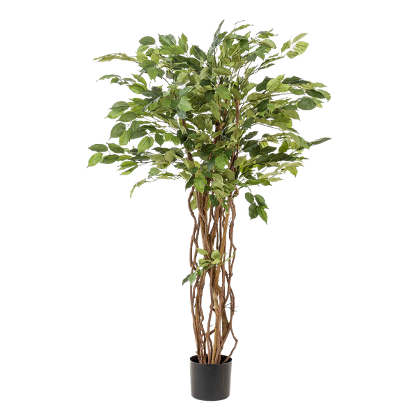 Ficus liana - Vioolbladplant - Kunstplant - ↨140cm