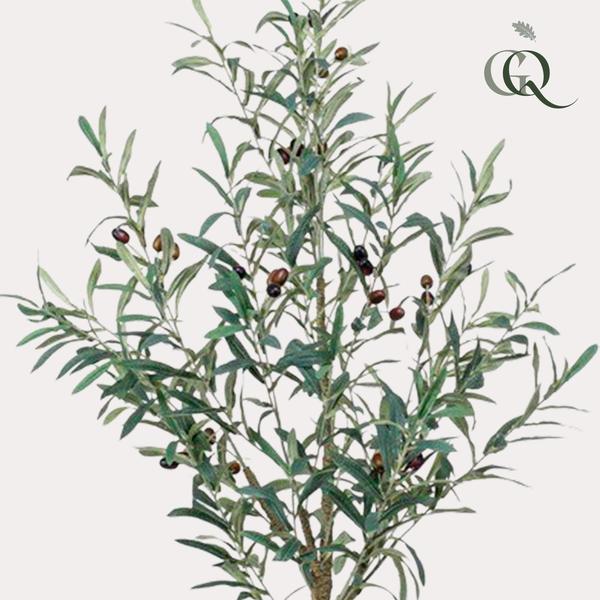 Olea europaea - Olijfboom - Kunstplant - ↨115 cm