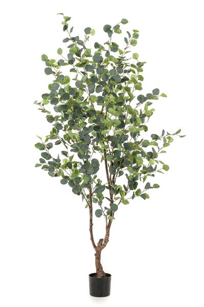 Eucalyptus - Blauwe Gomboom - Kunstplant - ↨180cm