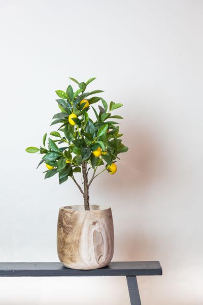 Citrus Limonia - Citroenboom - Kunstplant - ↨75 cm