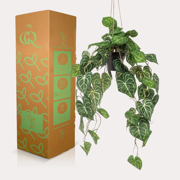 Anthurium Clarinervium - Aderplant - Kunstplant - ↨80cm