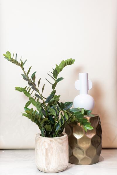 Zamioculcas - Kamerpalm - Kunstplant - ↨110cm