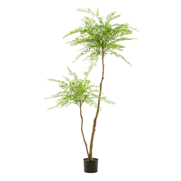 Sophora tree - Honingboom - Kunstboom - ↨190cm