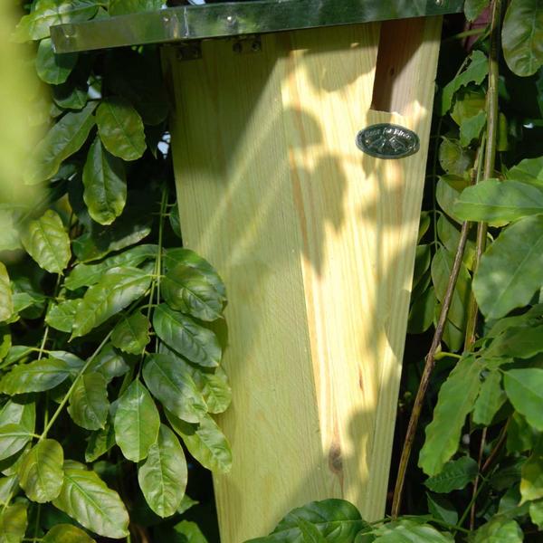 Vogelhuis boomkruiper - Nestkast met zinken dak