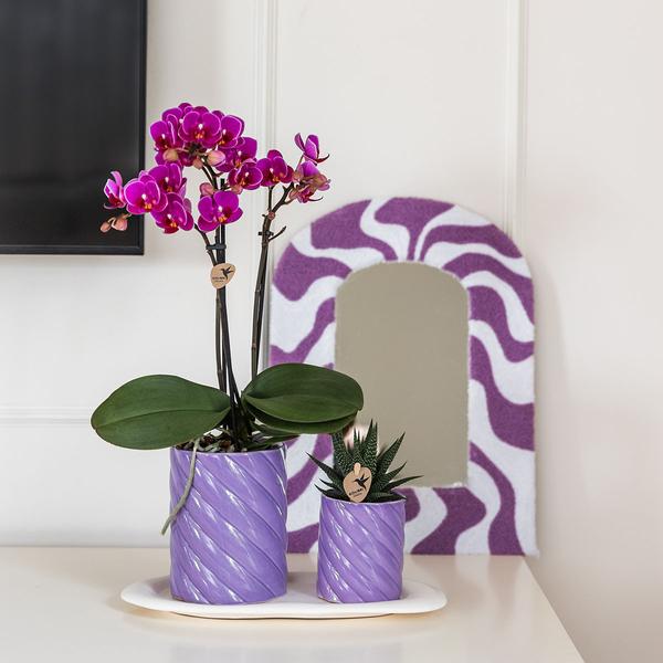 Gift set Optimism small lila - Groene plant met oranje Phalaenopsis orchidee in Candy sierpotten op wit organisch dienblad