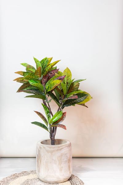 Croton Codiaeum - Wonderstruik - Kunstplant - ↨100 cm