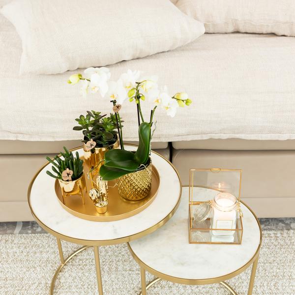 Witte Phalaenopsis orchidee Amabilis + Diamond sierpot goud – Ø9cm