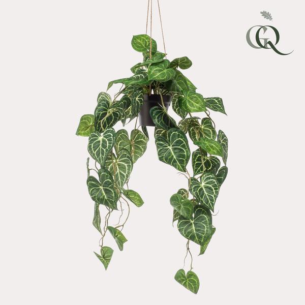 Anthurium Clarinervium - Aderplant - Kunstplant - ↨80cm