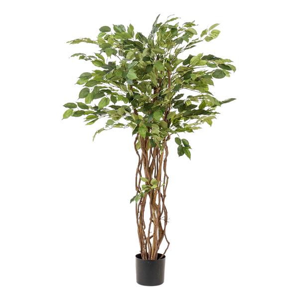 Ficus liana - Vioolbladplant - Kunstplant - ↨140cm