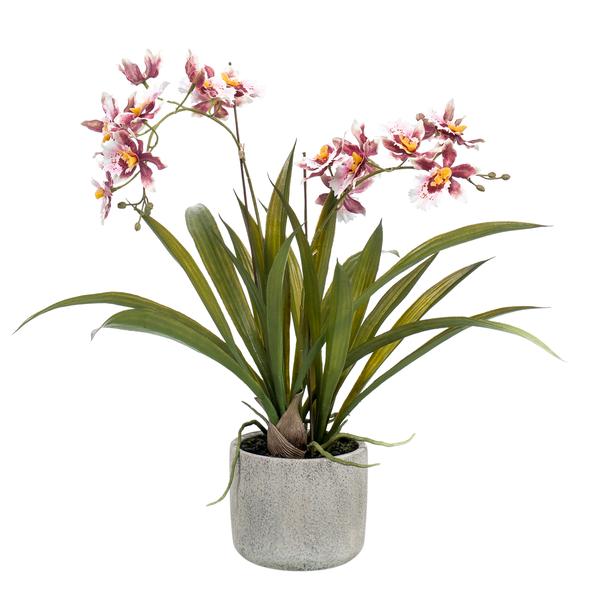 Orchidee - Bordeaux - Kunstplant - ↨45cm