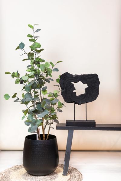 Eucalyptus - Blauwe Gomboom - Kunstplant - ↨120cm