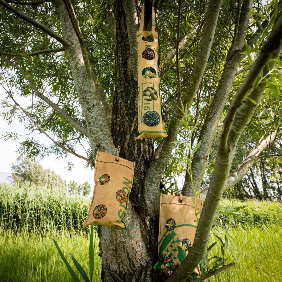 Picknick voor buitenvogels - 300 gr - Koolmees & Pimpelmezen
