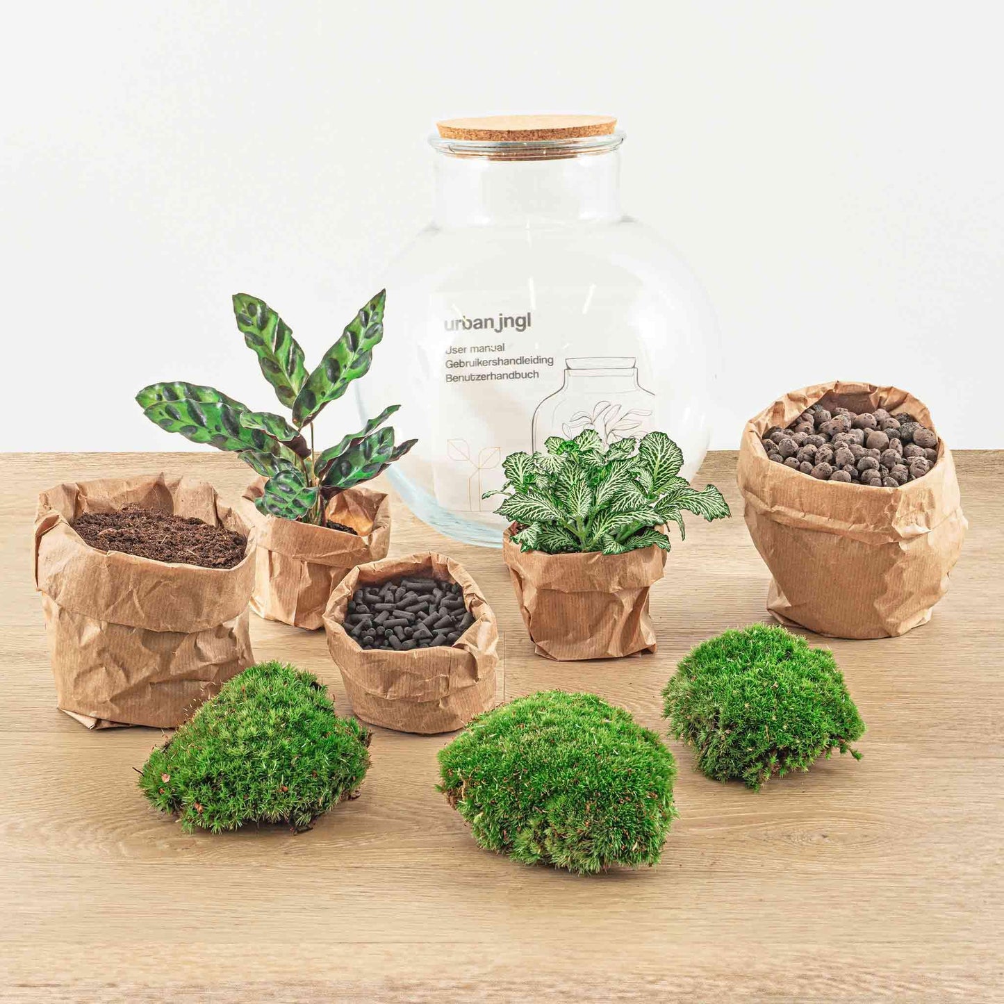 DIY terrarium Teddy - ↨26,5 cm - Ø25cm
