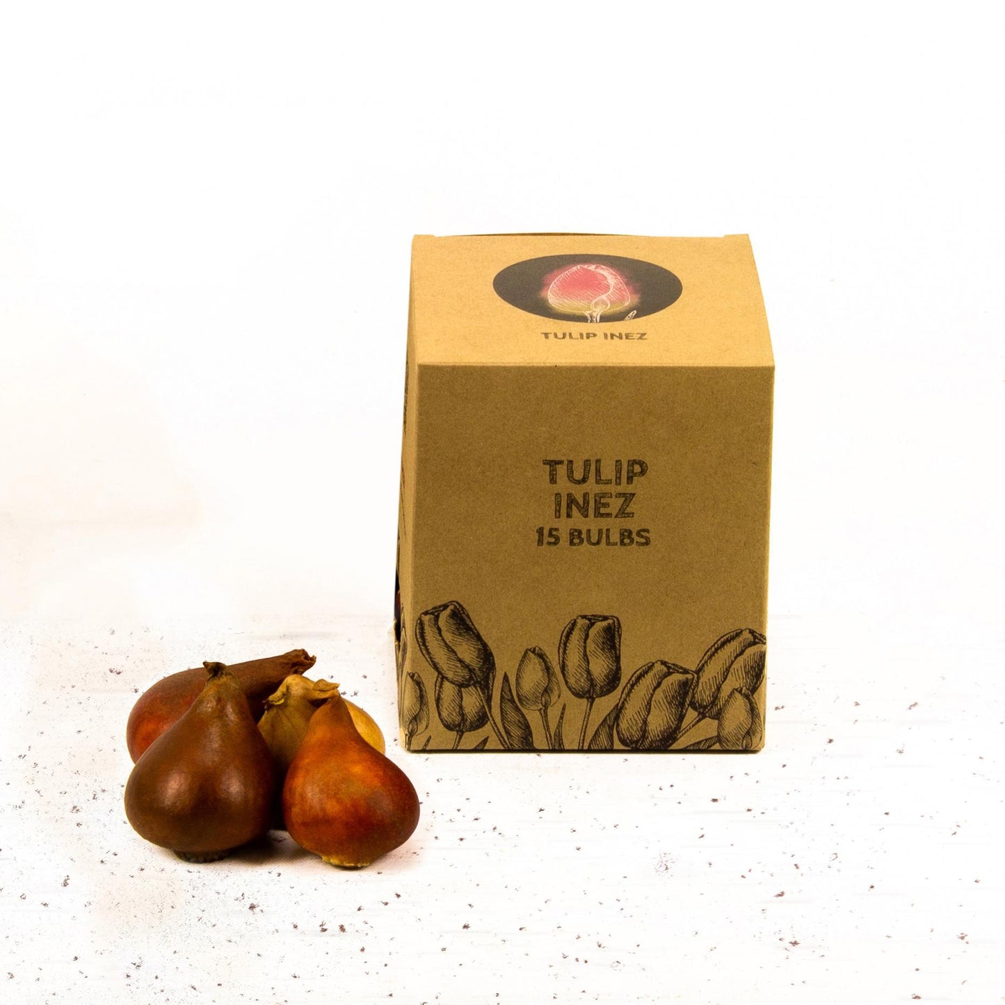 Tulp Inez - 15 bloembollen