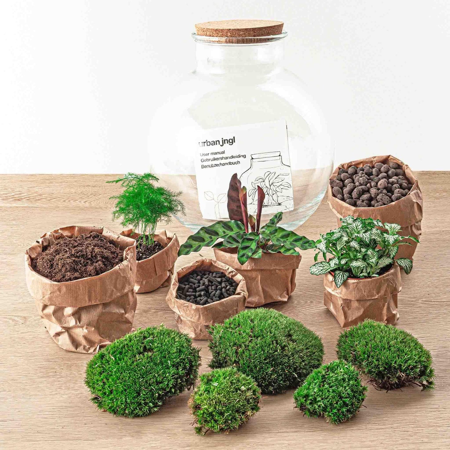 DIY terrarium Bolder Bob Bonsai - ↨30cm - Ø31cm