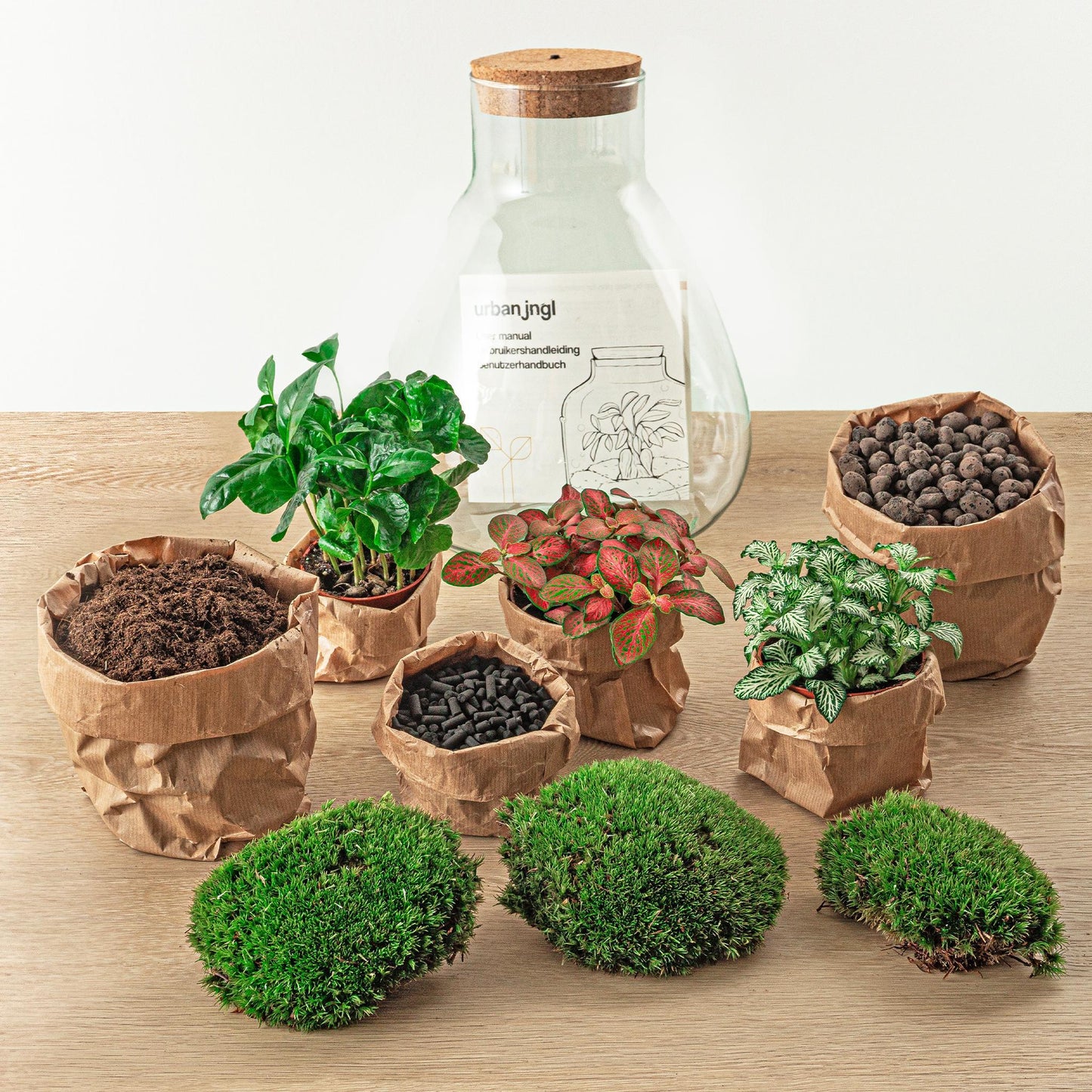 DIY terrarium Sam Coffea met LED - ↨30cm - Ø24,5cm