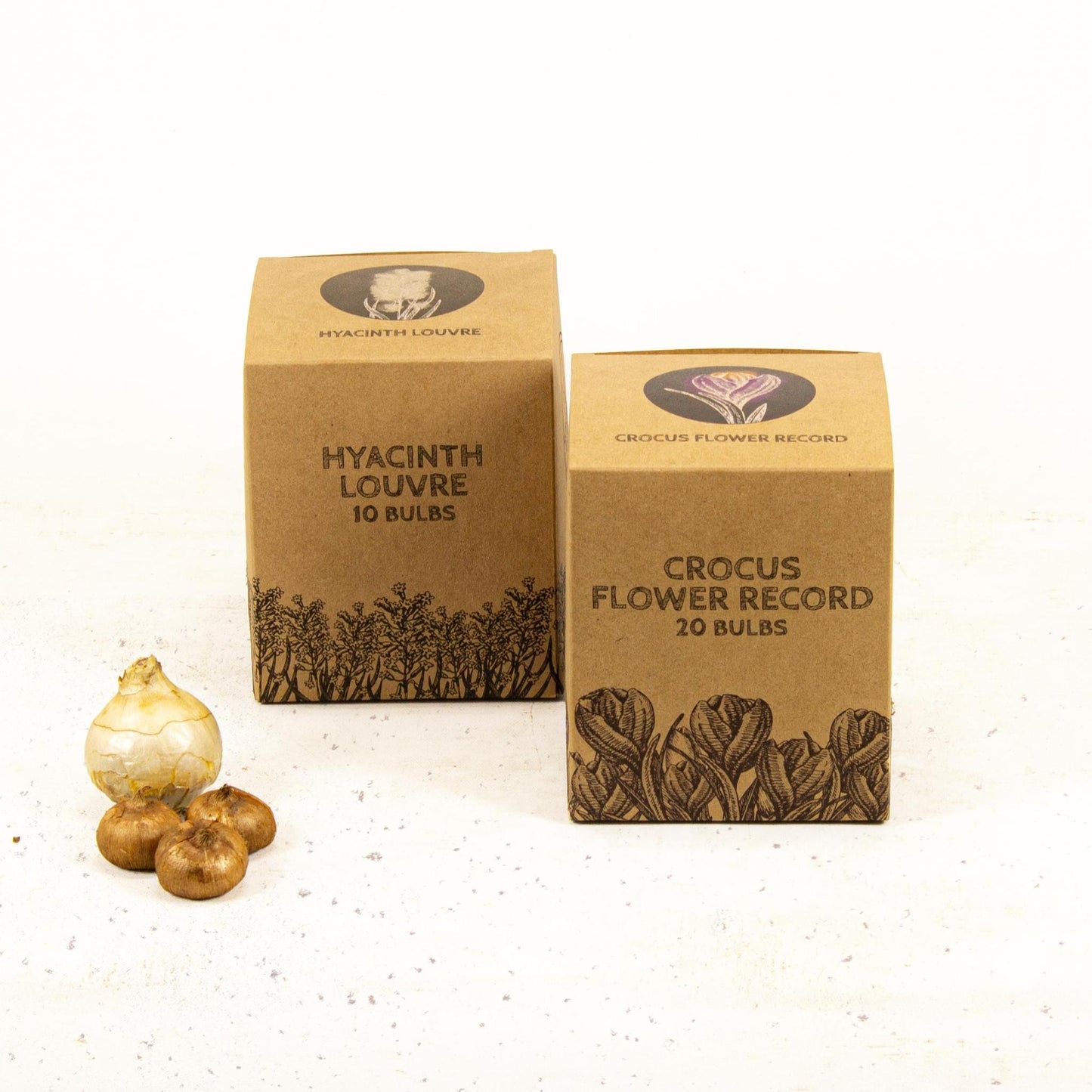 Early Spring - 30 bloembollen