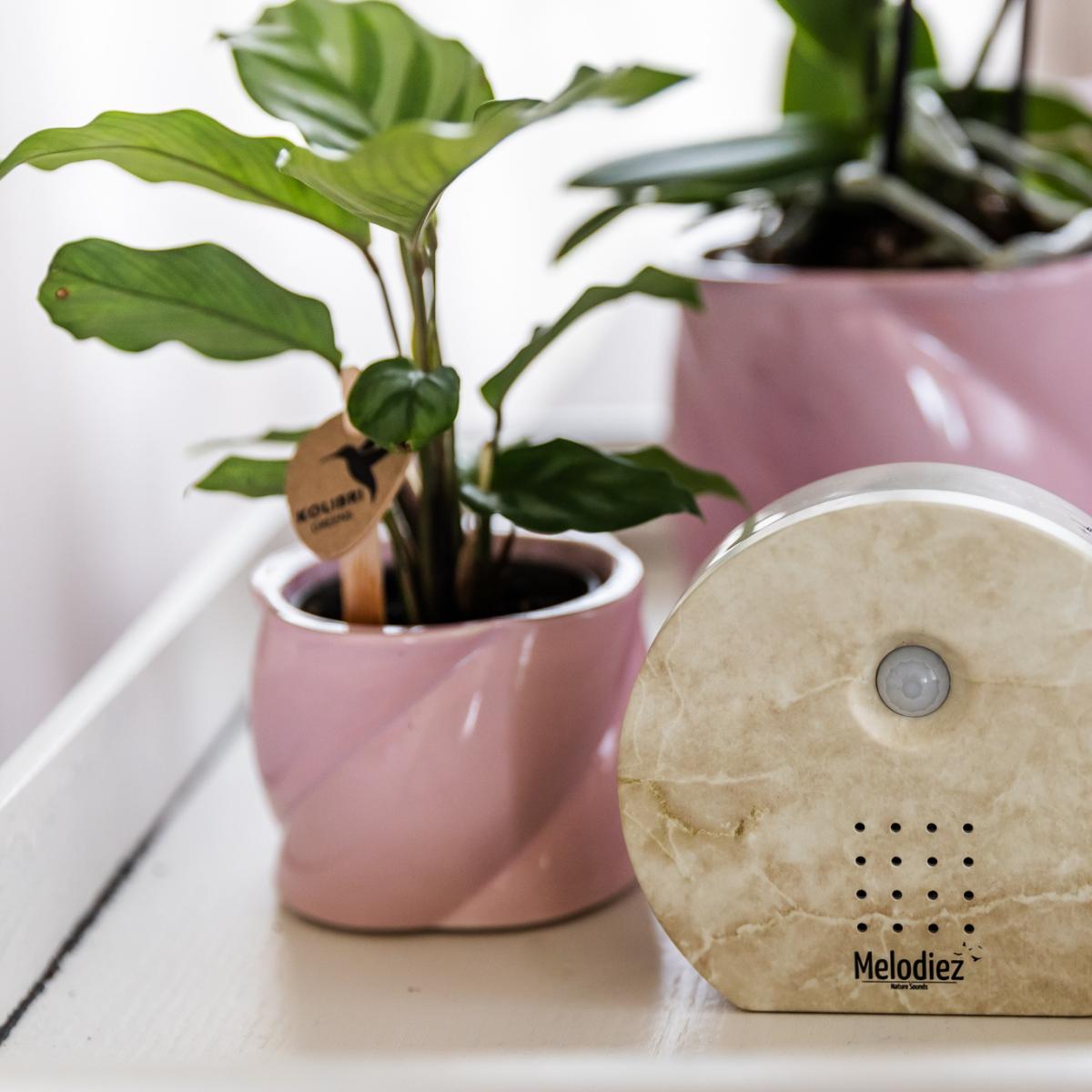 Melodiez® Vogelgeluiden huisje met sensor - Natuursteen