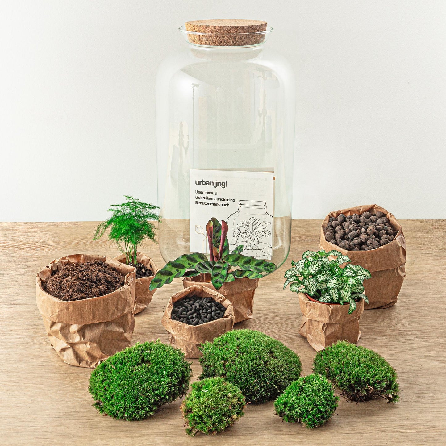 DIY terrarium Botanical Sven XL - ↨43cm - Ø23cm