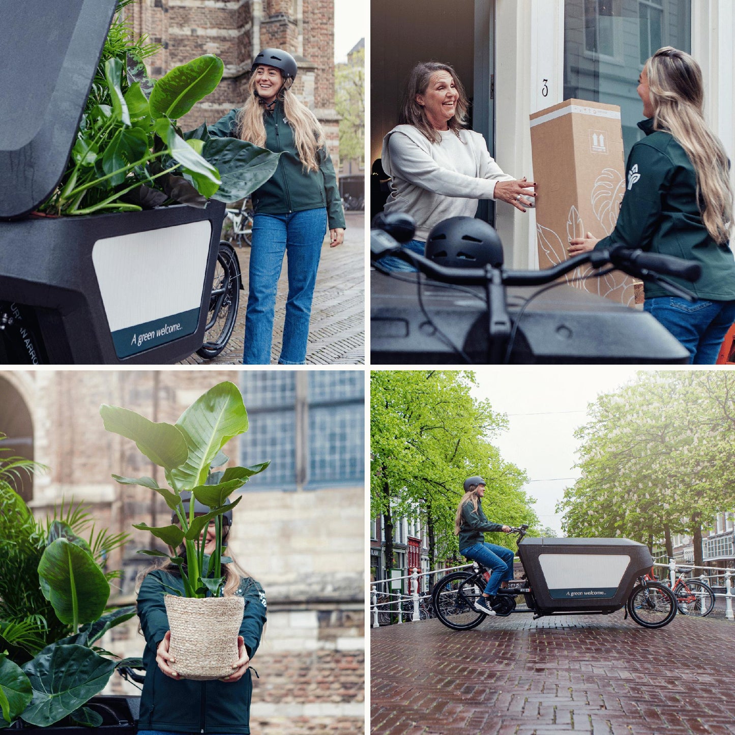 Verrassingsbox met 5 kamerplanten - ↨20 -30cm - Ø10-12cm