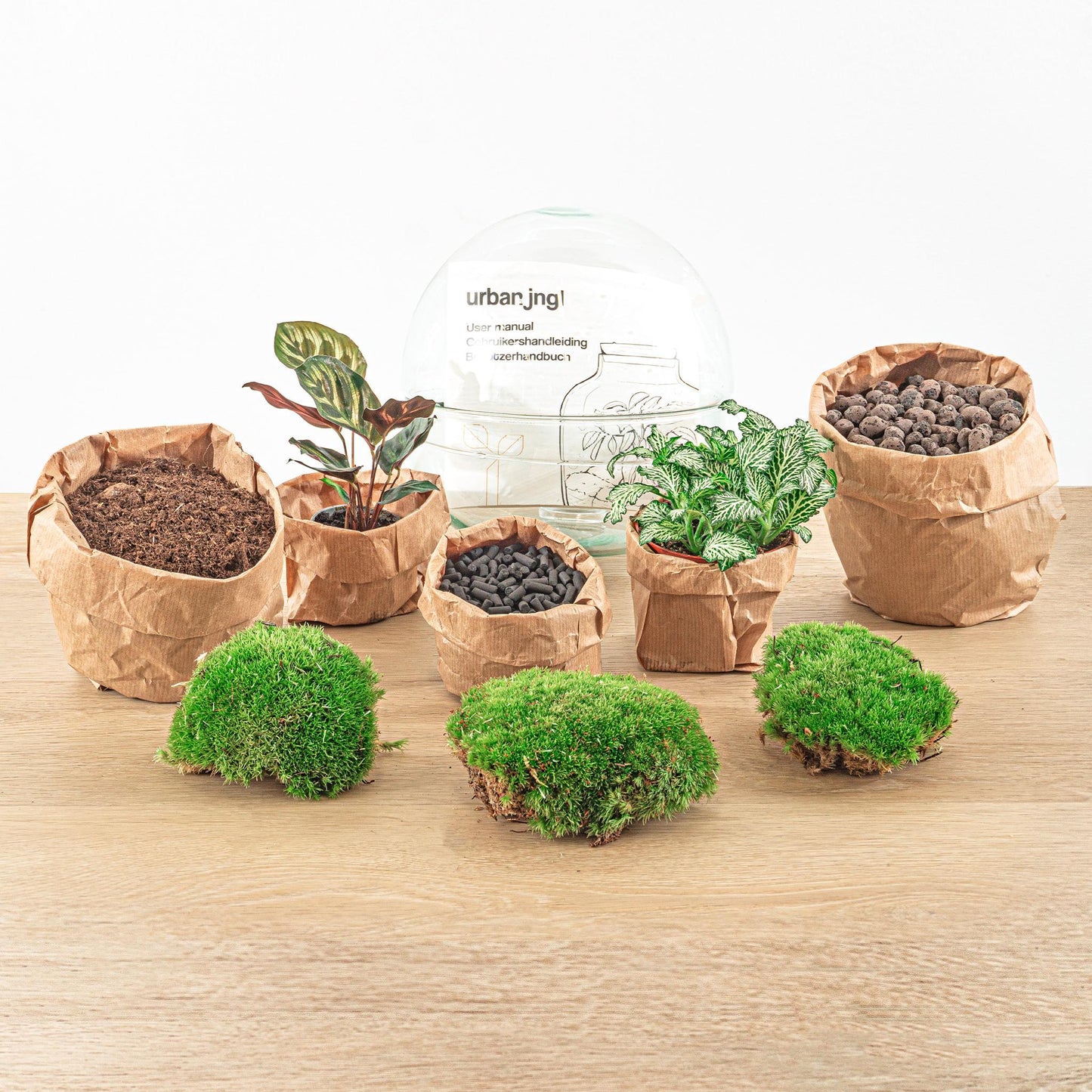 DIY terrarium Dome - ↨20cm - Ø20cm