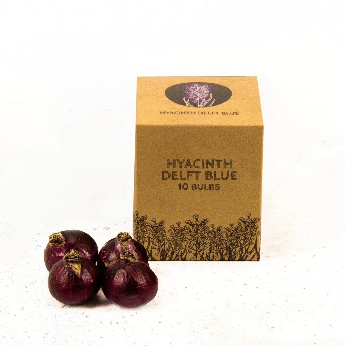 Hyacint Delft Blue- 10 bloembollen