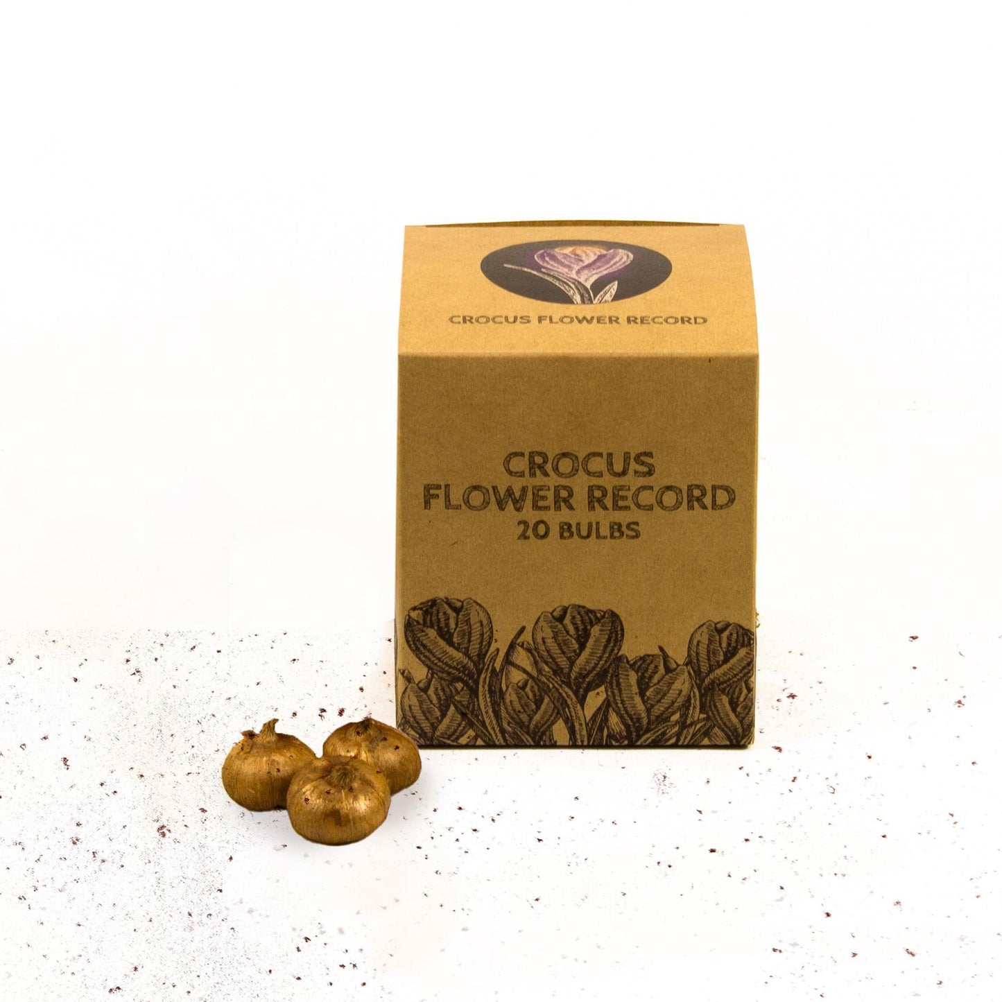 Krokus Flower Record - 20 bloembollen