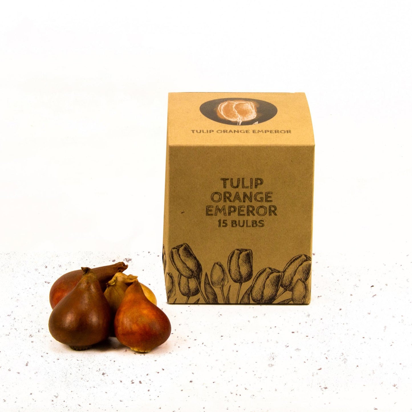 Tulp Orange Emperor - 15 bloembollen
