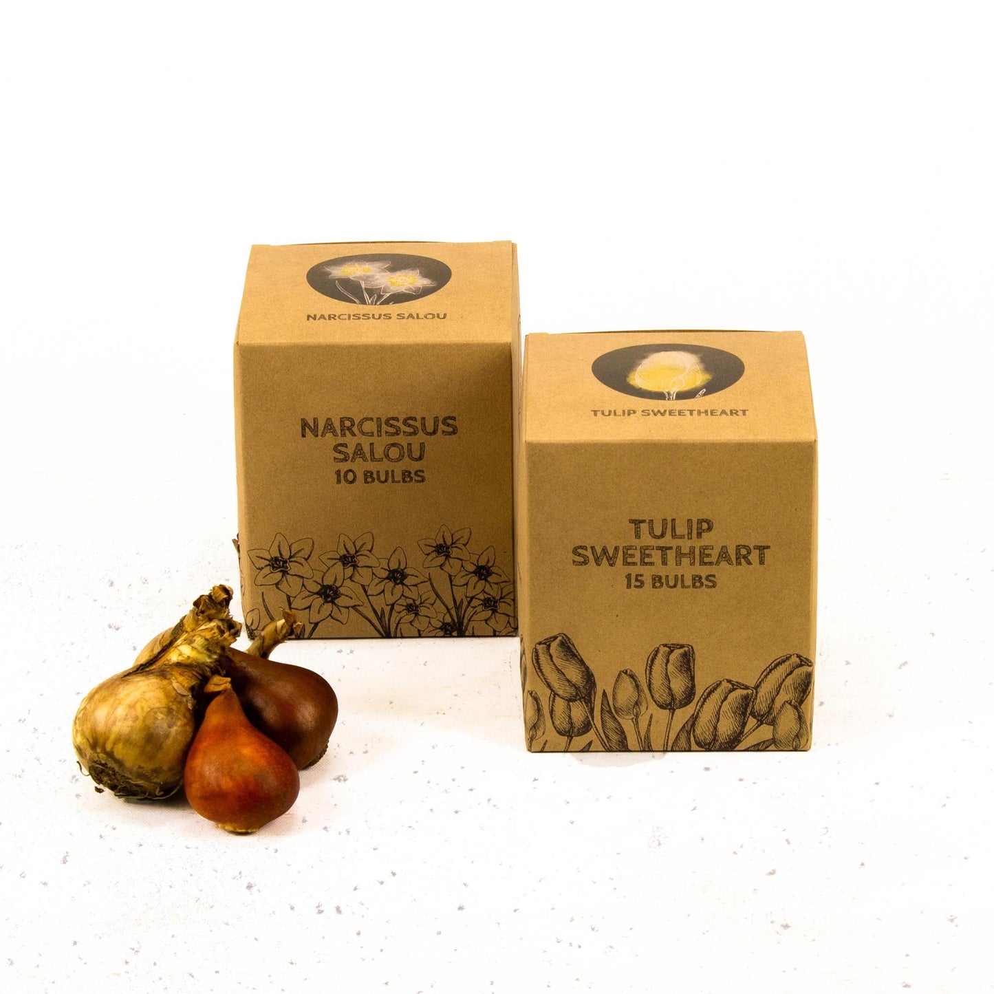 Jacques Darlings - 25 bloembollen