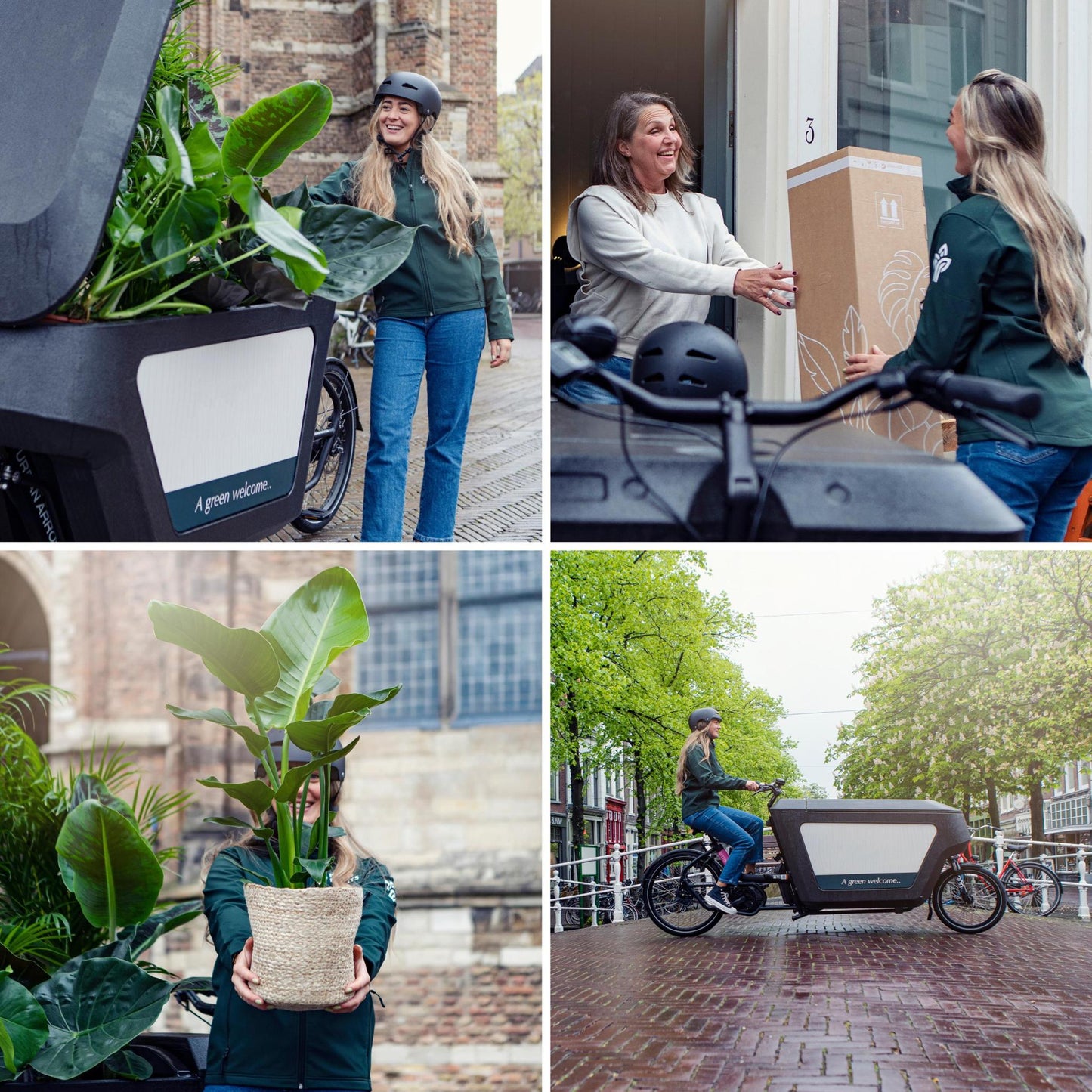 Buitenbeentjesbox met 12 kamerplanten - ↨15 a 25cm - Ø10 a 12cm