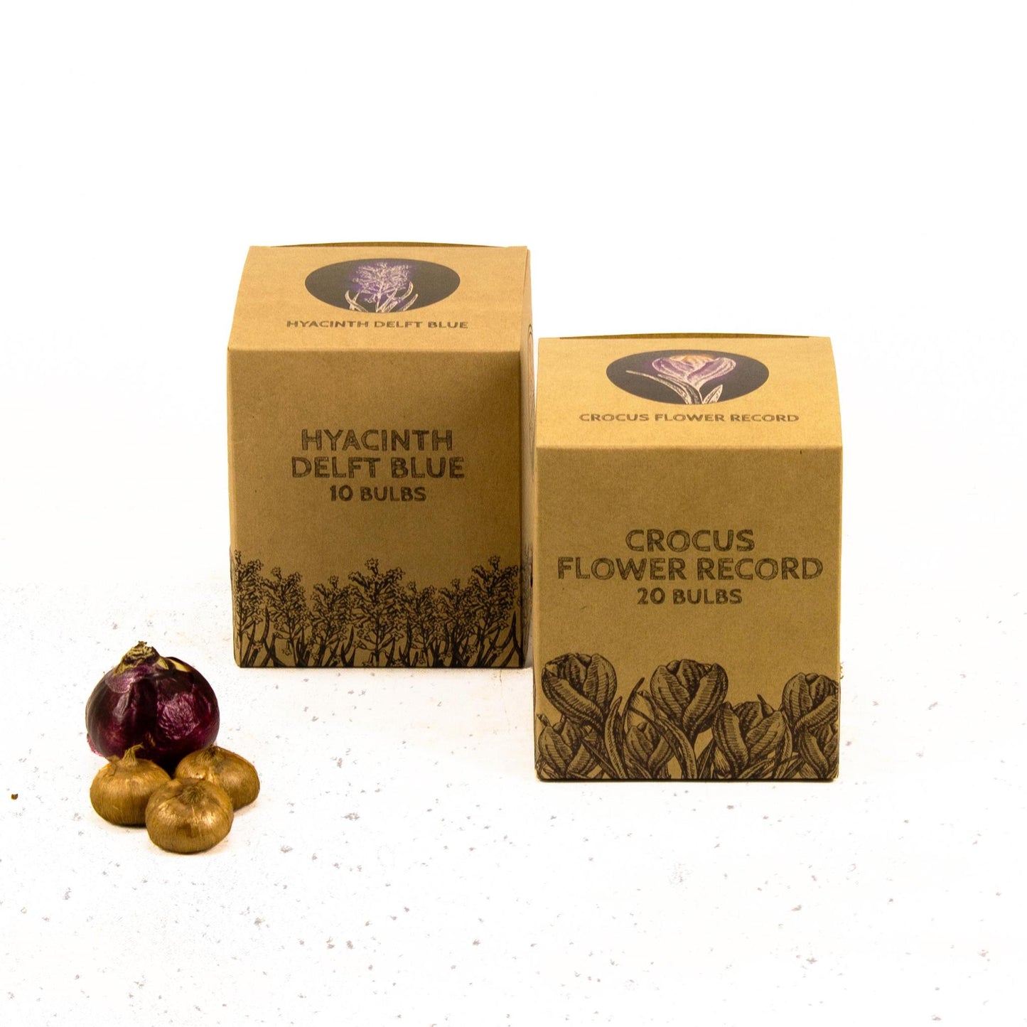 Blue and Purple - 30 bloembollen