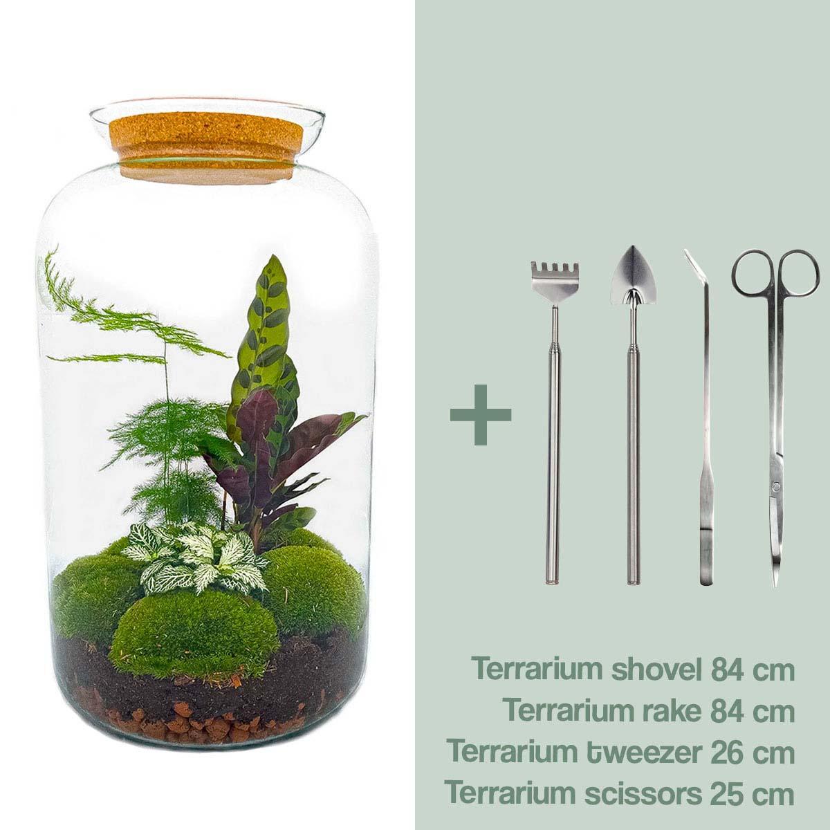 DIY terrarium Botanical Sven XL - ↨43cm - Ø23cm