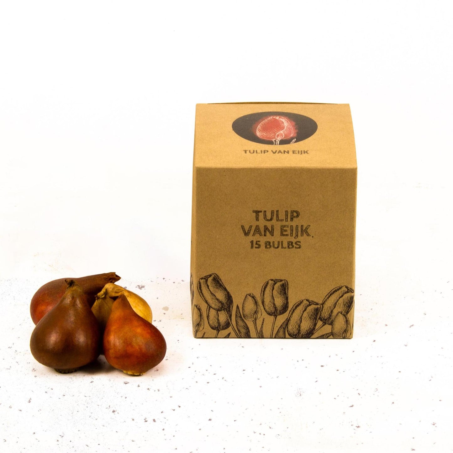 Tulp Van Eijk - 15 bloembollen