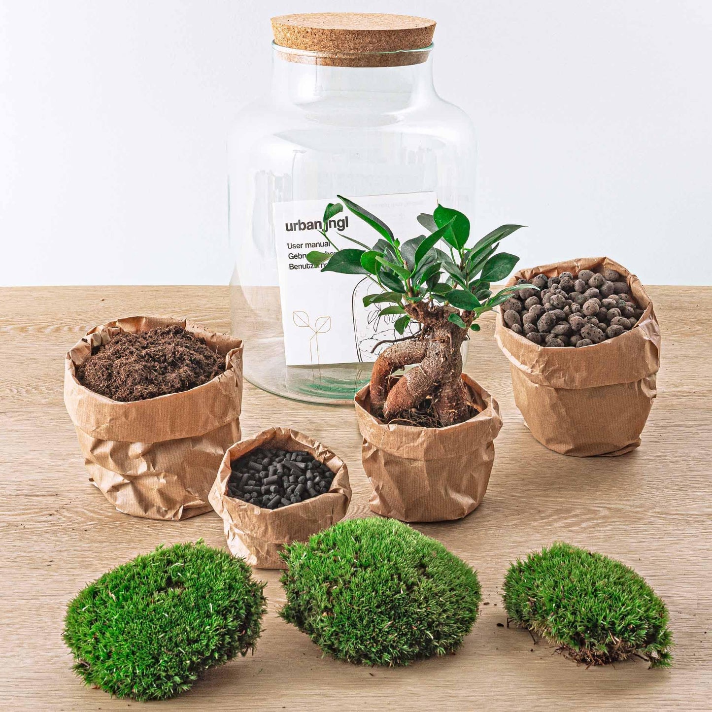 DIY terrarium Milky met bonsai - ↨32cm - Ø21cm