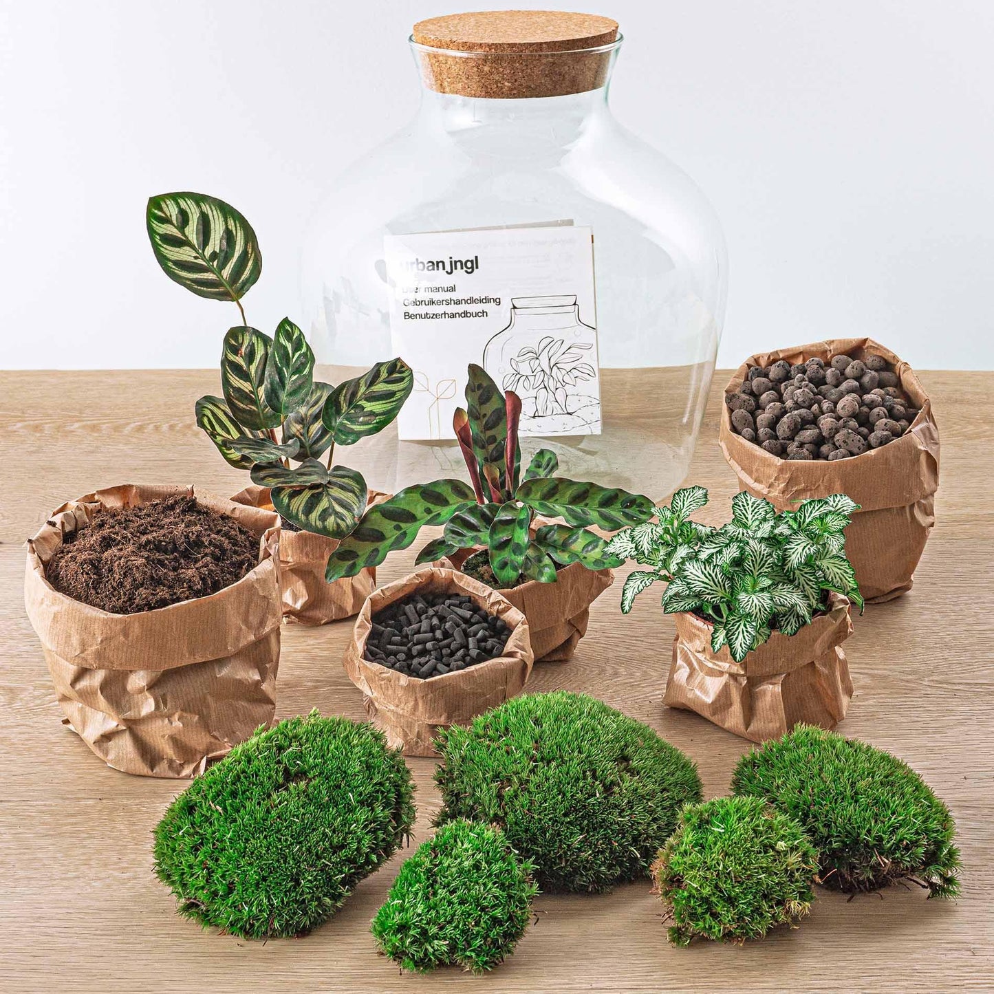 DIY terrarium Fat Joe - ↨30 cm - Ø29cm