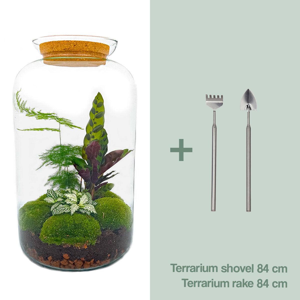 DIY terrarium Botanical Sven XL - ↨43cm - Ø23cm