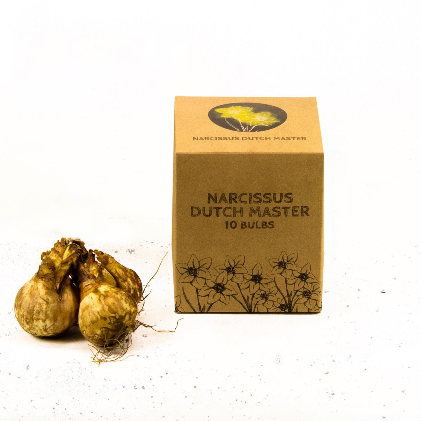 Narcis Dutch Master - 10 bloembollen