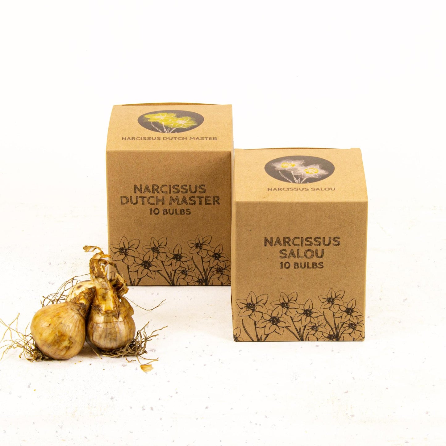 Wild Beauty's - 20 bloembollen