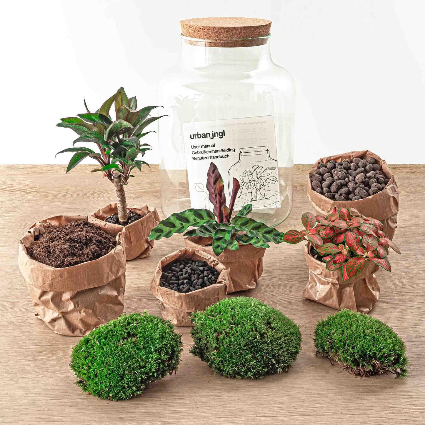 DIY terrarium Milky Palm - ↨30cm - Ø21cm