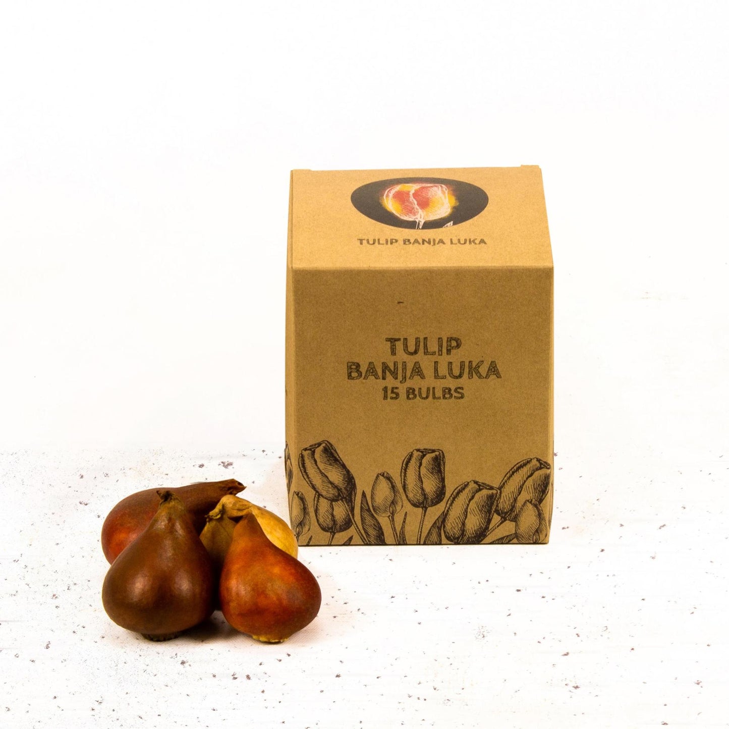 Tulp Banja Luka - 15 bloembollen