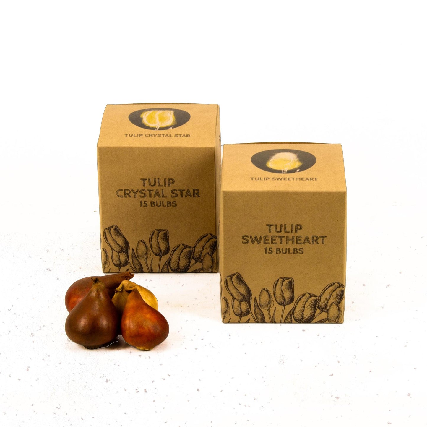 Yellow Splash - 30 bloembollen